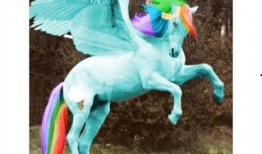 小马爆料视频大全,揭秘娱乐圈幕后故事